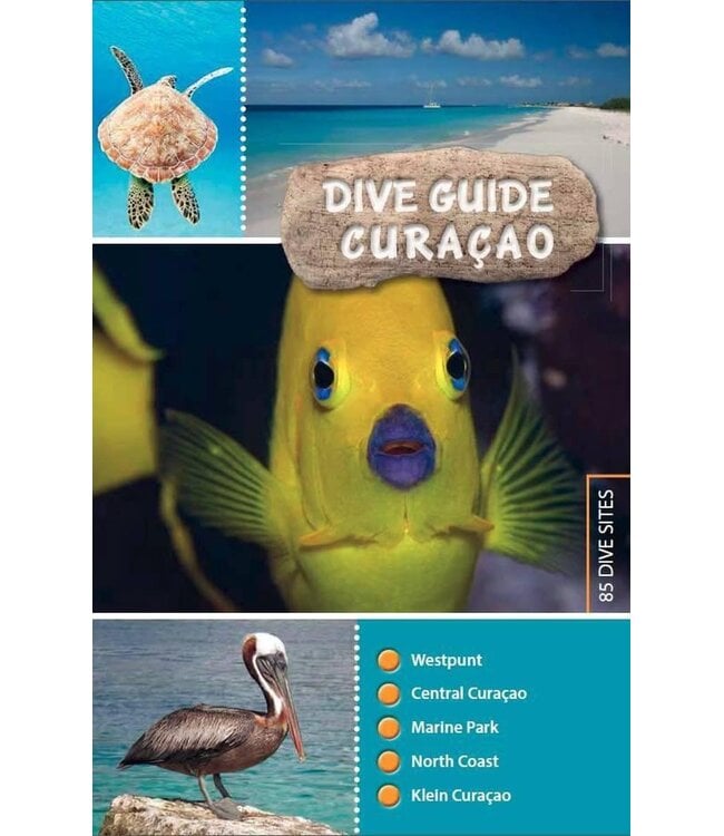 Duikgids Curacao ENGELS