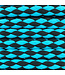 10MM Nylon Hondenlijn Donker Cyan Checkers