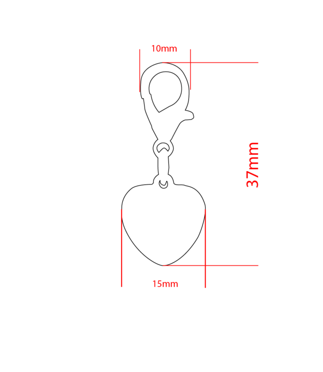 Bedel hangertje Hart Groot
