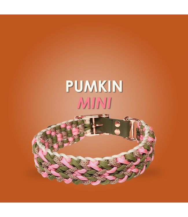 Pumkin Mini  halsband - DIY set