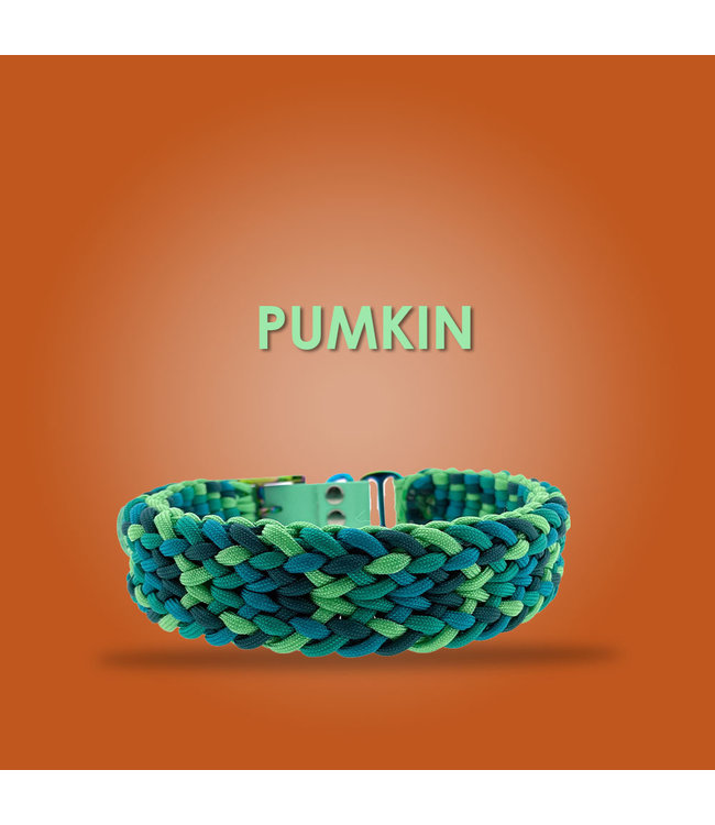 Pumpkin halsband - DIY set