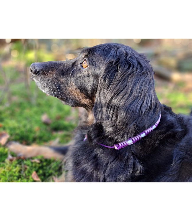 DIY anti-teek halsband Purplelicious/Pastel Lilac