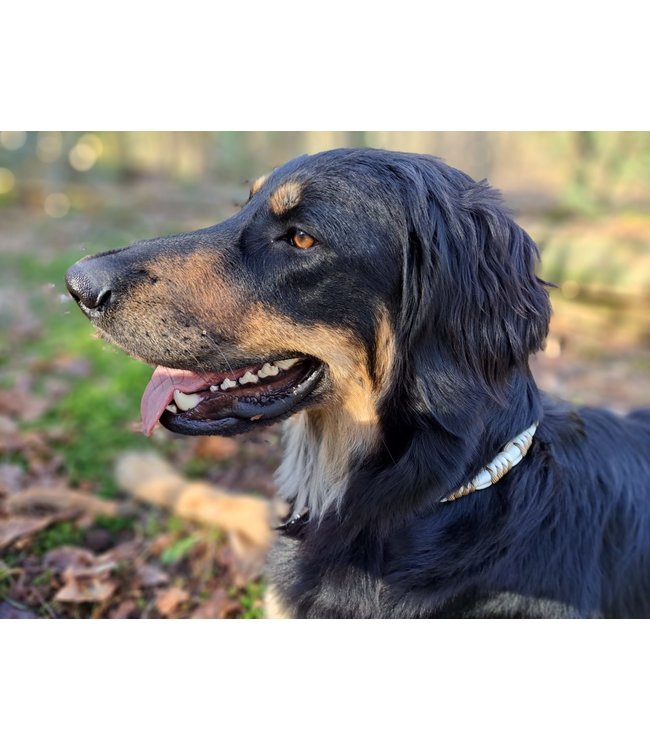 DIY anti-teek halsband Meadow Brown/Pastel Creme