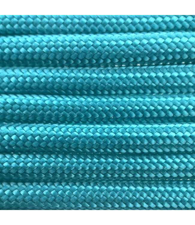 Paracord 550 type III Bubblegum Blauw