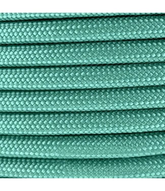 123Paracord 10MM PPM Touw Mint