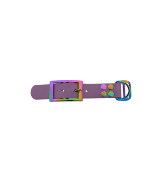 123Paracord Biothane adapter 25MM Marvelous Mauve/Neo-Chrome