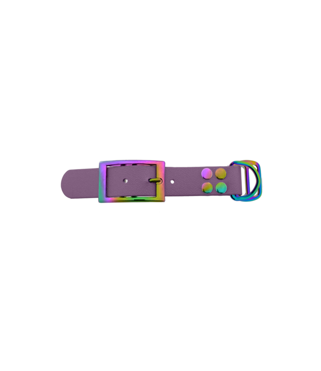 Biothane adapter 25MM Marvelous Mauve/Neo-Chrome