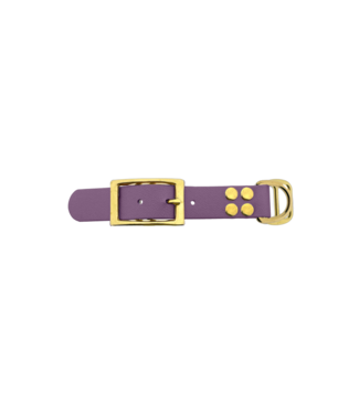 123Paracord Biothane adapter 25MM Marvelous Mauve/Messing