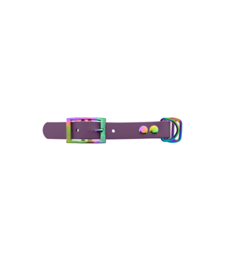 123Paracord Biothane adapter 19MM Marvelous Mauve/Neo-Chrome
