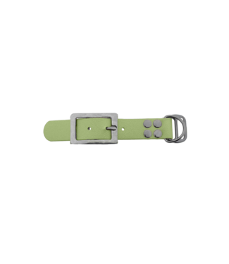 123Paracord Biothane adapter 25MM Holy Guacamole/RVS