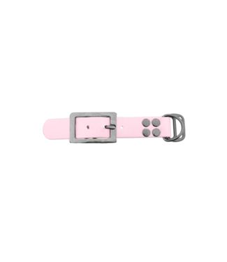 123Paracord Biothane adapter 25MM Dusty Pink/RVS