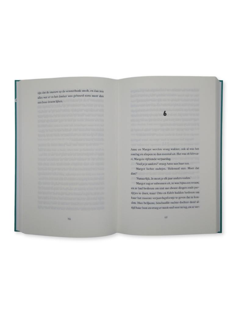 When we flew away, a novel of Anne Frank before the Diary