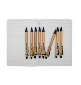 Pen