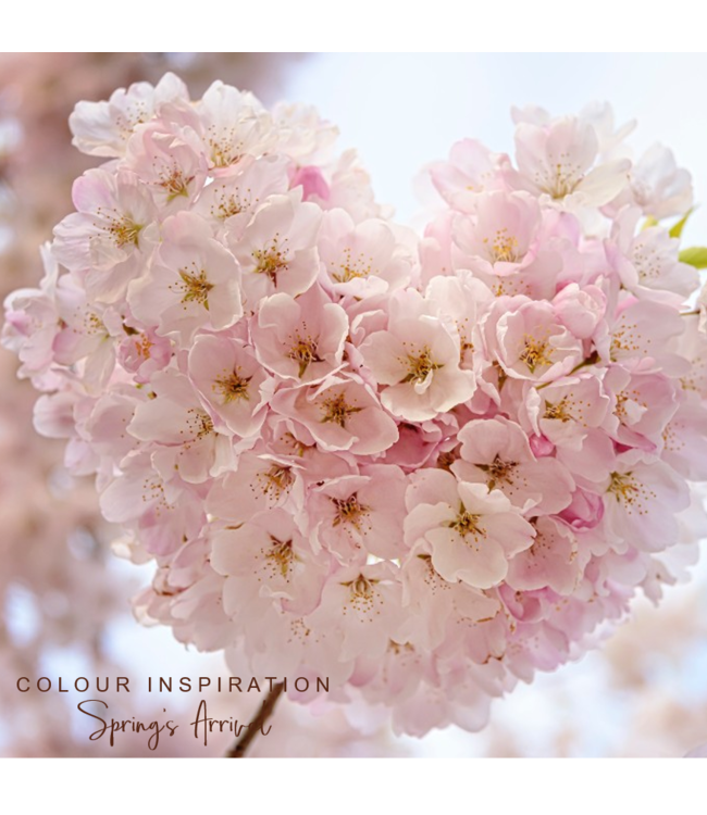 Ketting Candy-Blossom Pink