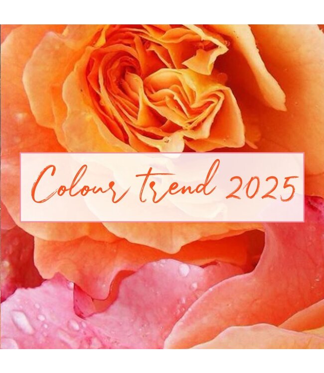 Halskette Candy-Bubblegum Pink