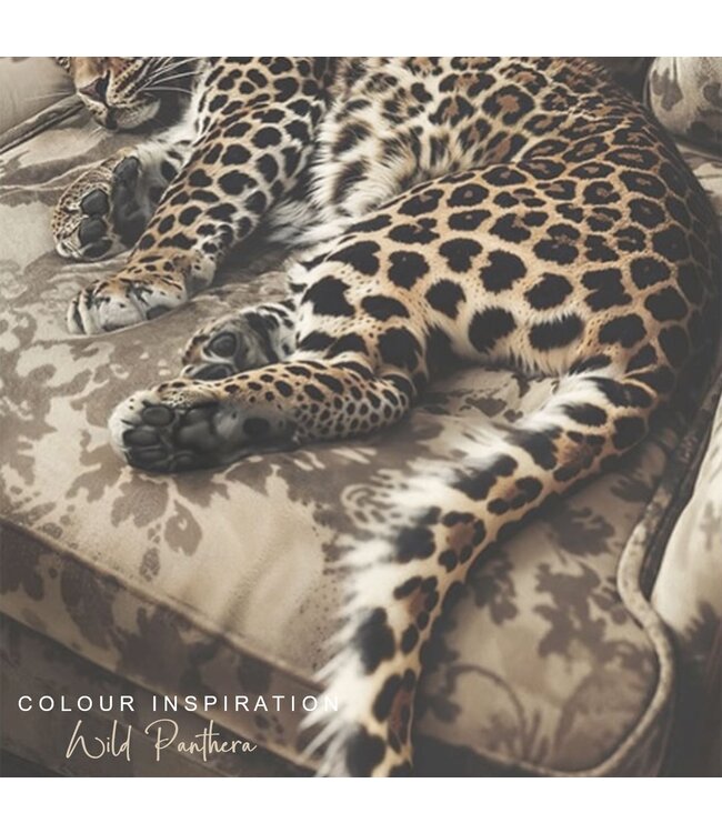 Bracelet Set 4-Wild Panthera