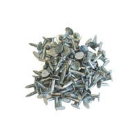 IKOfix Asfaltnagels 20mm (circa 400 stuks)