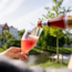 Rosé de Bruges bouteille 25cl