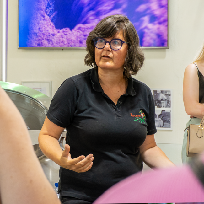 Brugse Zot polo lady