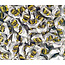 Rademaker Rademaker - Haagse Hopjes 4,5 Kilo
