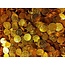 Chocolademunten 10,20,50 Centen 10 Kilo