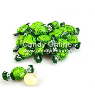 Trefin - Eucalypto 1 Kilo