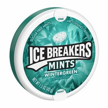 Ice Breakers - Mints Wintergreen 42 Gram