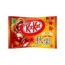 Kit Kat - Chestnut 12 Mini's