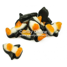 Jake -Penguins 1 Kilo