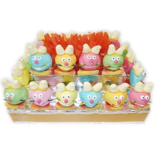 Snoeptraktatie - Muisjes 24 Stuks