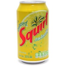 Squirt - Soda 355ml