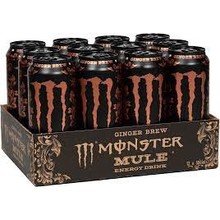 Monster - Munle Ginger Brew 500ml 12 Blikjes