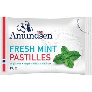 Amundsen - Pastilles Fresh Mint 25 Gram 24 Stuks