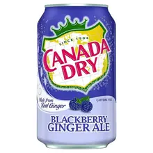 Canada Dry - Blackberry Ginger Ale 355ml