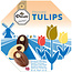 Droste Droste - Tulips Selection 175 Gram 6 Stuks