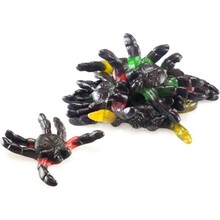 Jake - Tarantulas Winegums 1 Kilo (Halal)