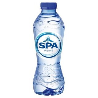 Spa - Reine Blauw 330ml 24 Stuks