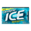 Dentyne Dentyne - Ice Gum Winter Chill
