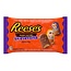 Reese's Reese's - Peanut Butter Skeletons 257 Gram