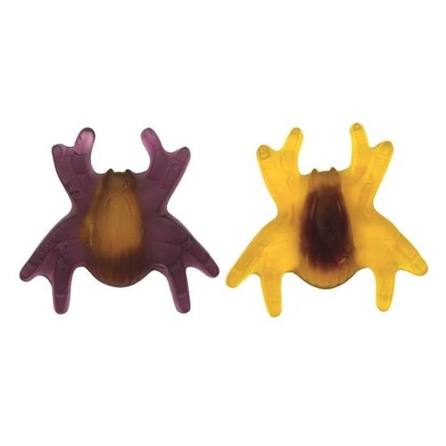 Damel - Spinnen XL 1 Kilo