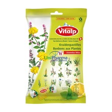 Vitalp - Kruidenpastilles Bonbons 75 Gram