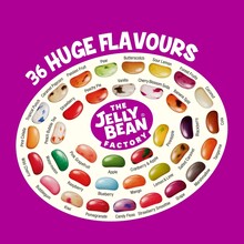 The Jelly Belly Factory Jelly Beans 200 Gram