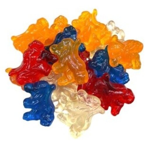 Matthijs - Hollandse Leeuwen 1 Kilo