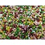Jelly Belly - Jelly Bean Mix 500 Gram (De échte jelly beans)