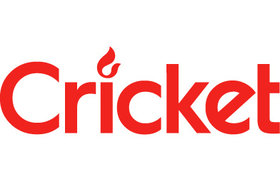 Cricket aanstekers bedrukken?