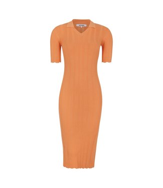 Mambo polo dress
