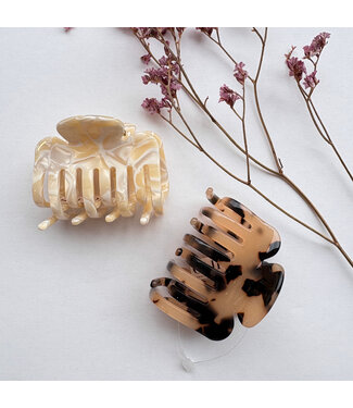 Clips Clips - Evi