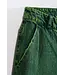 Rodana jeans - Groen
