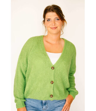 Bonita Avenue Knits Kate - Pistachio