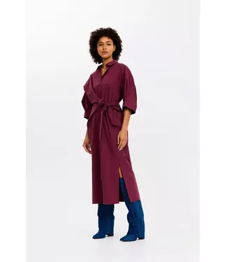 CKS Dioxa dress